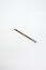 A single rusty nail on white background