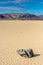 Single Sailing Stone Rests On The Southern End of The Racetrack Playa