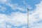 Single sea bird standing on bamboo pole