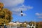 Single seagull spreading its wings flying in the sky