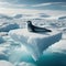 A single of seal reclines on an arctic ice shelf, forever vigilant