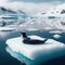 A single of seal reclines on an arctic ice shelf, forever vigilant