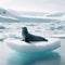 A single of seal reclines on an arctic ice shelf, forever vigilant