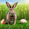 Single sedate furry Checkered rabbit sitting on green grass with easter eggs.