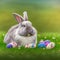 Single sedate furry English Angora rabbit sitting on green grass with easter egg