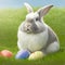 Single sedate furry French Angora rabbit sitting on green grass with easter eggs