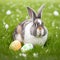 Single sedate furry Harlequin rabbit sitting on green grass with easter eggs.