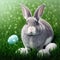 Single sedate furry Silver rabbit sitting on green grass with easter eggs.