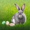 Single sedate furry Silver rabbit sitting on green grass with easter eggs.