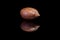 Single shelled pecan nut isolated on black reflective backgroun