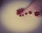 single and simple henna design feet