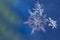 Single snow flake on blue and green background