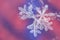 Single snow flake on colorful background