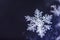 Single snow flake on dark blue background