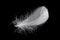 Single soft and light feather isolated on black background