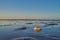 A single soft shell clam in the mud flats