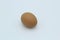 A single speckled brown hen`s egg on a white plain background lying on it`s side