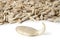 Single of sprouted sunflower seeds on a white background. Full depth of field