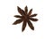 Single Star Anise