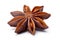 Single Star anise dried Ilicium fruit, paths