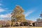 Single story bungalow houses in suburbs of Dallas with bright fall foliage colors