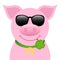 Single Straight Pig With Sunglasses And Clover Leaf In Mouth