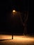 Single street lamp in a public park at night during snowfall