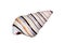 Single striped shell of Liguus virgineus also known as the candy cane snail, tree-living snail native to the Caribbean isolated on