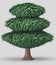 Single stylized tree model with covered with green leaves, 3d rendering