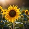 A single sunflower - ai generated image
