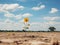 a single sunflower growing in the middle of a dry field