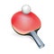 Single table tennis racket with ball