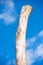 Single Tall dead tree trunk isolated blue sky