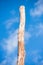 Single Tall dead tree trunk isolated blue sky