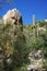 Single tall Saguaro cactus with large boulder on the left and blue sky above