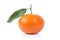 Single Tangerine clementine with green leaf isolated. Clipping path