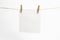 Single torned paper sheet for notes that hang on a rope with clothespins and isolated on white. Blank white cards on rope mockup