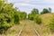 Single-track railroad going into the distance among green trees