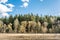 Single-track railway in the forest turns the corner. Spring landscape with dry grass and a coniferous forest