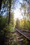 Single-track railway line in forest