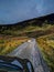 Single track road with lone sheep on the Isle of Raasay, Scotland