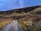 Single track road with lone sheep on the Isle of Raasay, Scotland