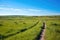 single track trail winding through a tall grass prairie in summer