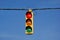 Single Traffic Light