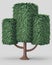 Single tree with dense leaves, stylize tree model covered by green leaves, isolated basic shape tree model, no people and white
