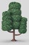 Single tree with dense leaves, stylize tree model covered by green leaves, isolated basic shape tree model, no people and white