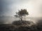 Single tree on the dry land with smoke and fog, ai-generated artwork