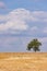 A single tree on the horizon in front of striking clouds and a harvested field