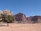 Single tree and road wadi rum