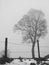 Single tree in silhouette in winter fog behind a fence with snow on the ground